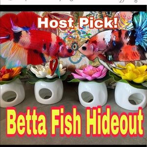 🐬betta fish floating peek a boo hideout